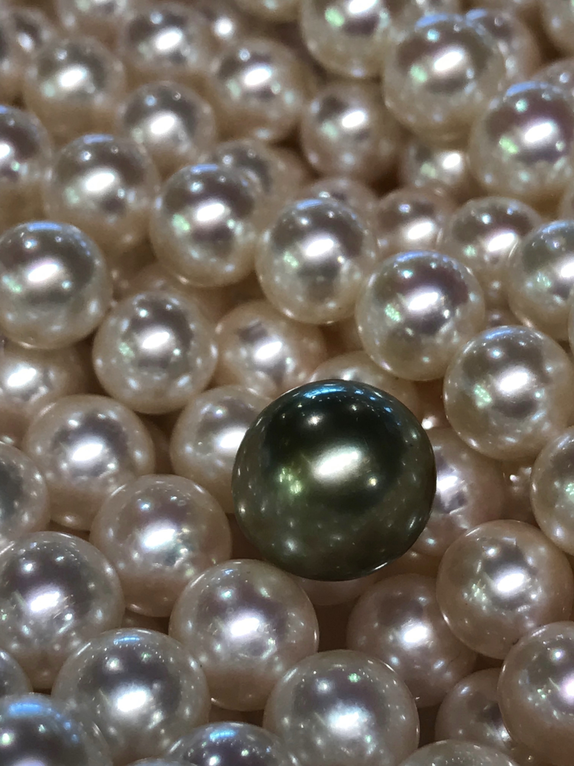 Précieuses Perles par Charlotte Wannebroucq